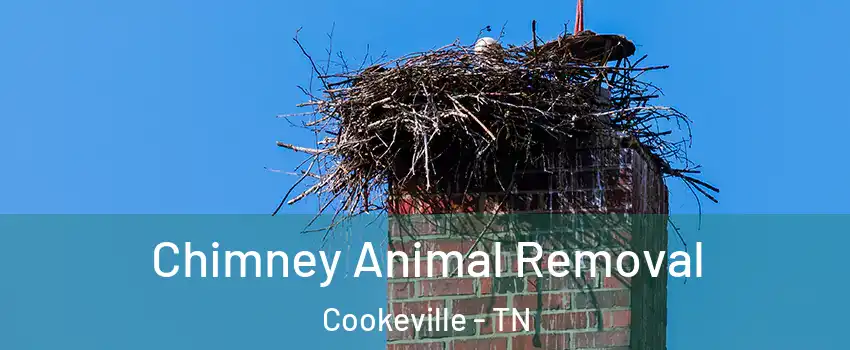 Chimney Animal Removal Cookeville - TN