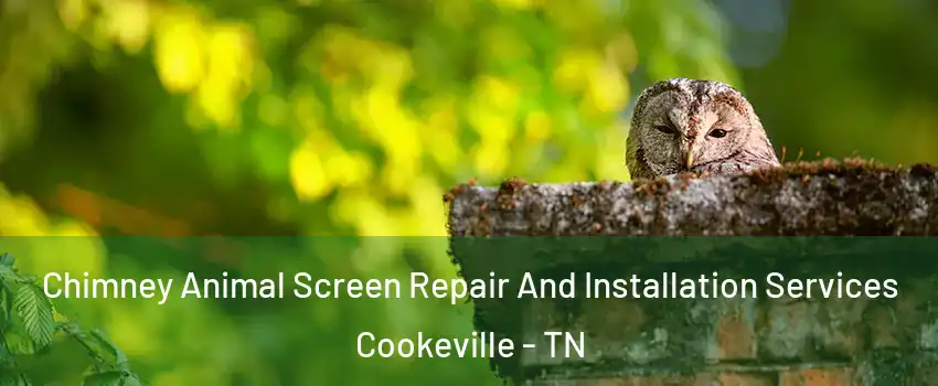  Chimney Animal Screen Repair And Installation Services Cookeville - TN