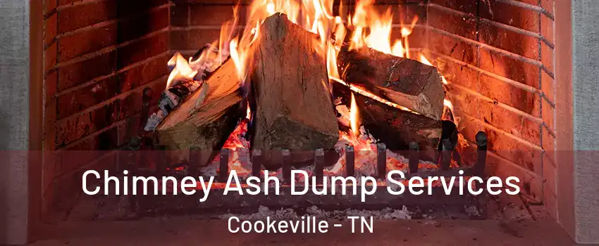  Chimney Ash Dump Services Cookeville - TN