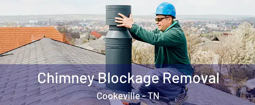  Chimney Blockage Removal Cookeville - TN
