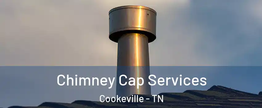  Chimney Cap Services Cookeville - TN
