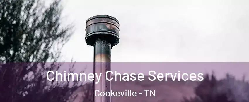  Chimney Chase Services Cookeville - TN