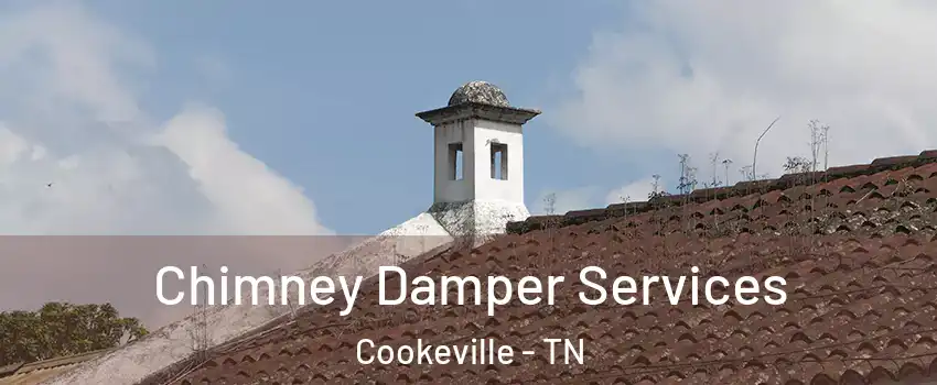  Chimney Damper Services Cookeville - TN