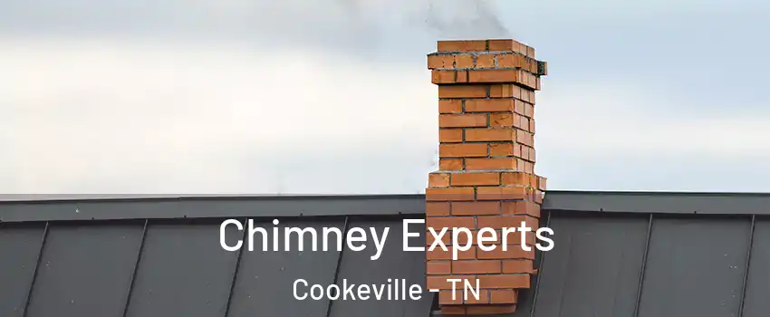 Chimney Experts Cookeville - TN