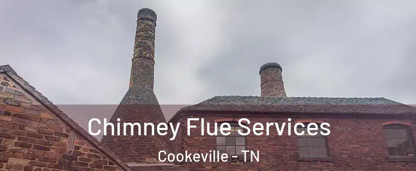  Chimney Flue Services Cookeville - TN
