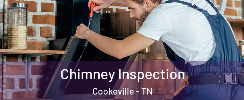  Chimney Inspection Cookeville - TN