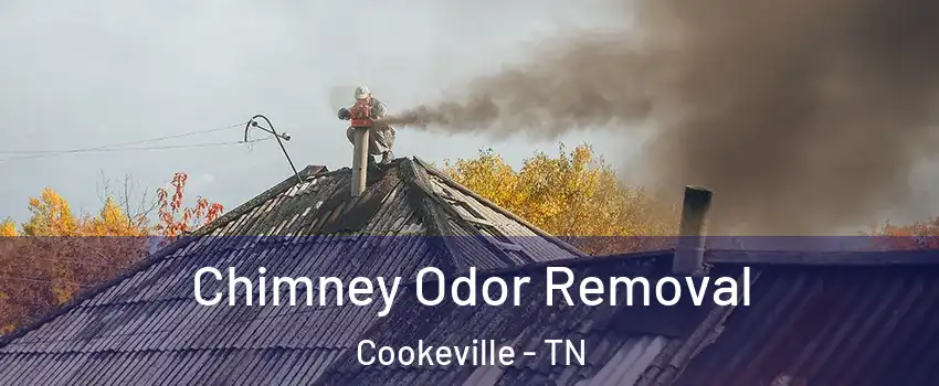  Chimney Odor Removal Cookeville - TN