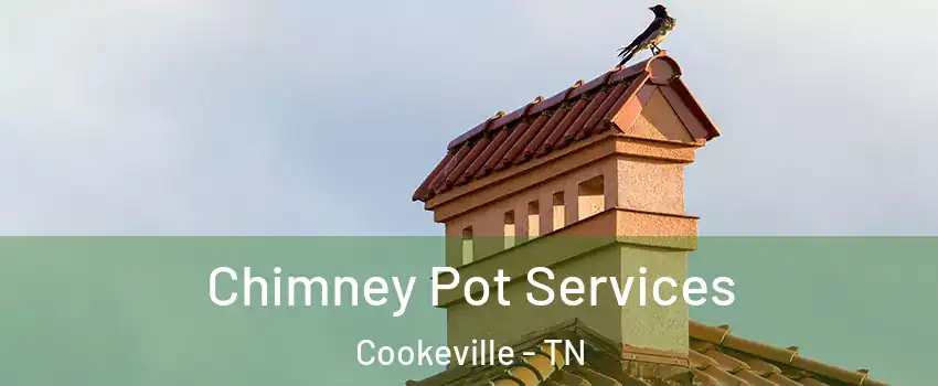  Chimney Pot Services Cookeville - TN