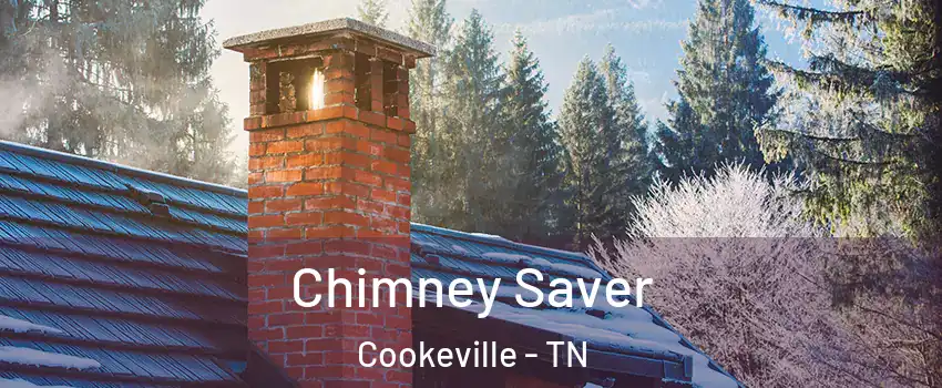  Chimney Saver Cookeville - TN