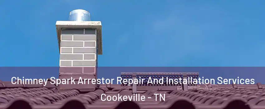  Chimney Spark Arrestor Repair And Installation Services Cookeville - TN