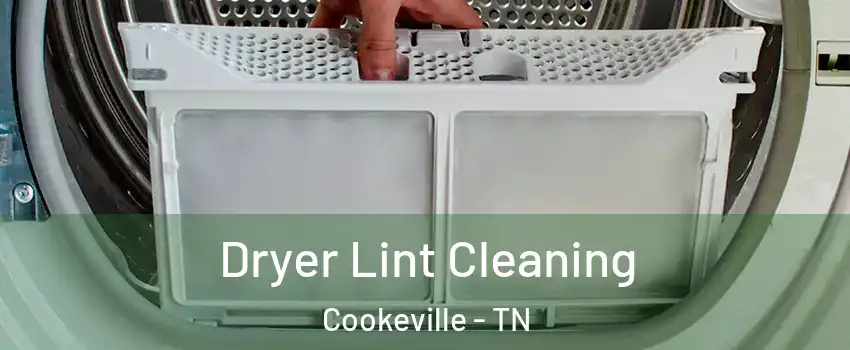  Dryer Lint Cleaning Cookeville - TN