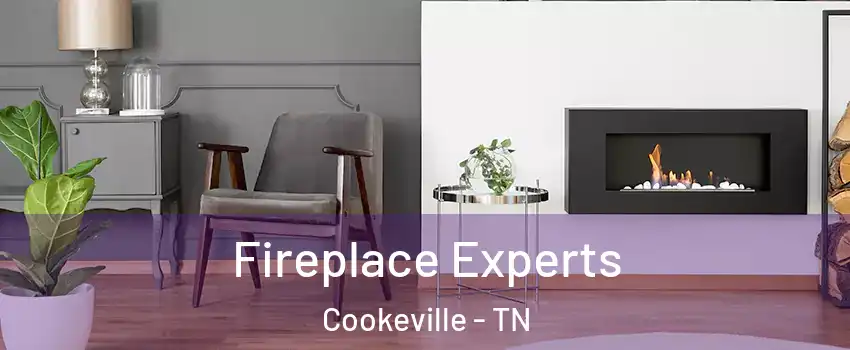  Fireplace Experts Cookeville - TN