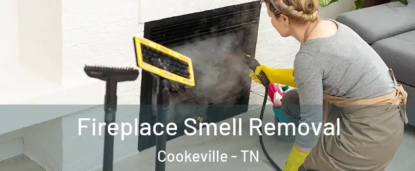  Fireplace Smell Removal Cookeville - TN