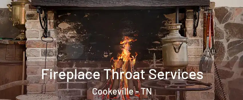  Fireplace Throat Services Cookeville - TN