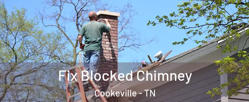  Fix Blocked Chimney Cookeville - TN