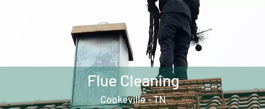  Flue Cleaning Cookeville - TN