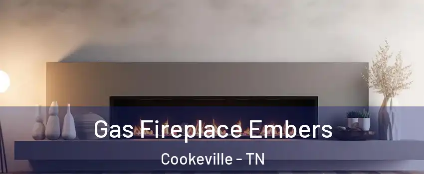  Gas Fireplace Embers Cookeville - TN