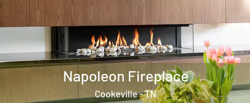  Napoleon Fireplace Cookeville - TN