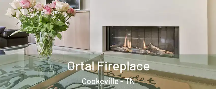  Ortal Fireplace Cookeville - TN